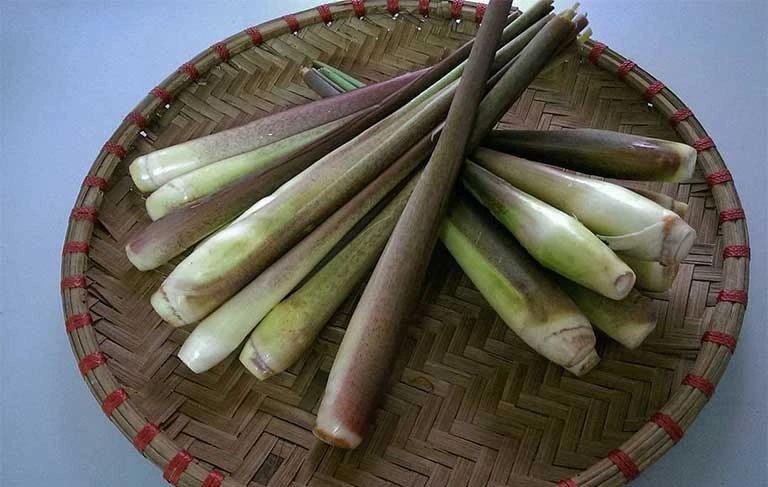 Củ niễng có tác dụng gì mua giống để trồng ở đâu