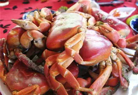 Cua đá có những đặc điểm như thế nào các loại ra sao