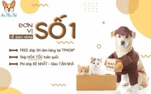 Phu Kien Cho Meo Tai TP HCM